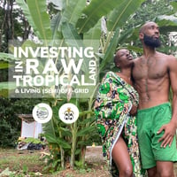 Investing In Raw Tropical Land: Our Personal Journey 