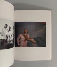 Image 3 of Liz Johnson Artur - Monograph, 2016