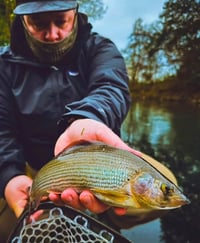 Image 3 of Black Bead Head Nymph 