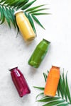 Seamoss Smoothies 8 oz