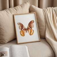 Image 3 of Rhescyntis pseudomartii moth PRINT