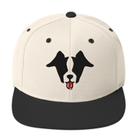 Image 1 of Rebel Pickledog Snapback Hat