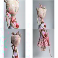 Image 5 of Little white cat