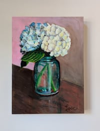 Image 1 of Hydrangeas