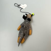 Image 3 of Australian Cattle Dog "Blue Heeler With Tennis Ball“