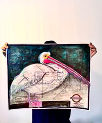 Image 1 of Yellow headed Pelican 