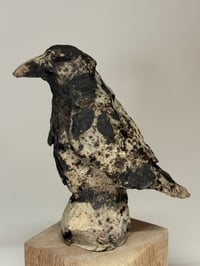 Image 1 of “Karl”