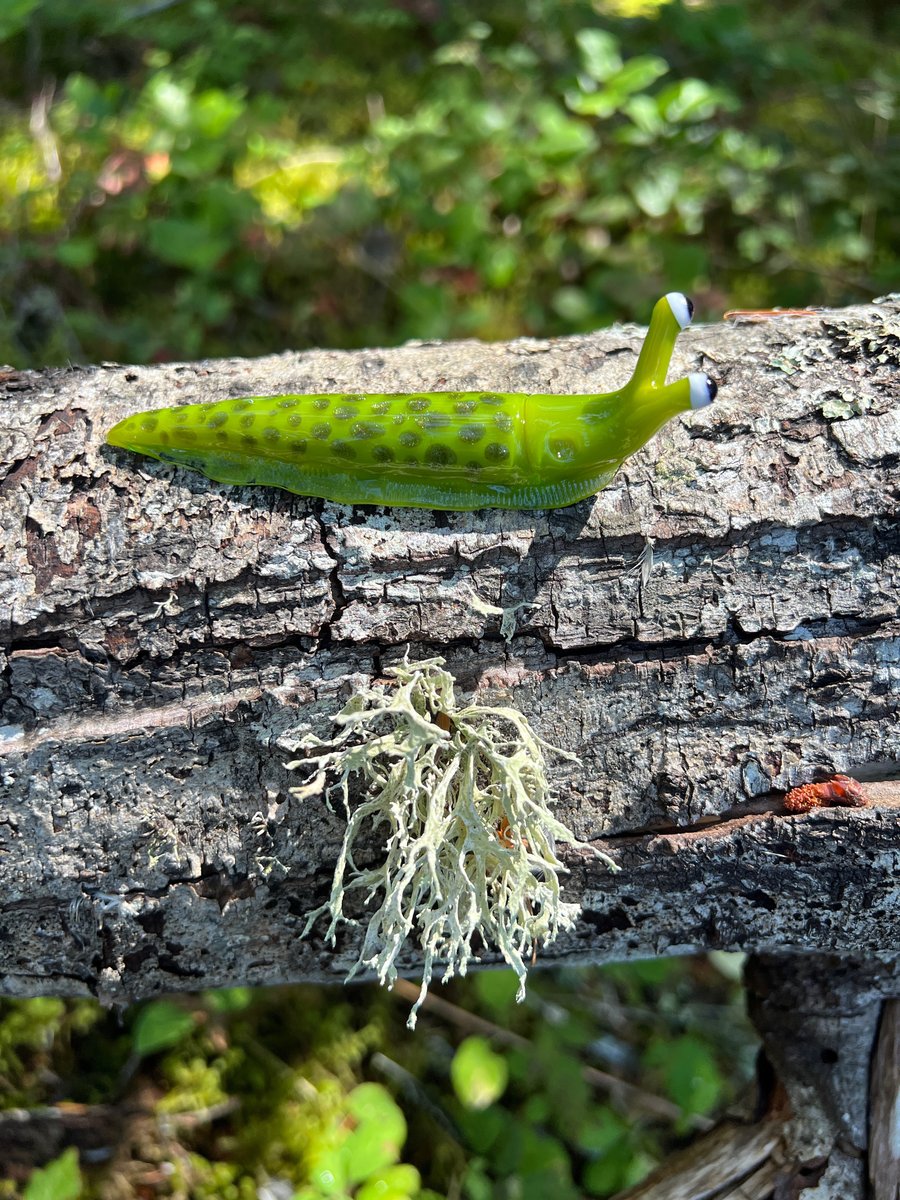 Image of Chartreuse Boro Slug