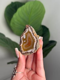 PEACHY CONDOR AGATE -ARGENTINA- #13