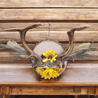 Deer Antler Wall Decor 