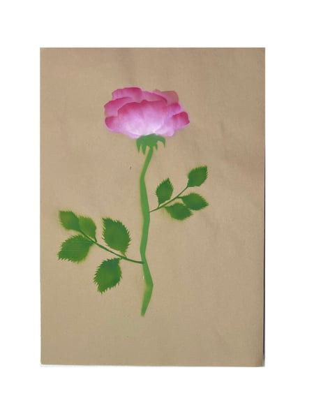 Image of Rose ‘Ulrich Brunner’ - 1 rose (11)