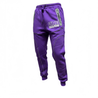 Image 1 of BNE Joggers (purple)