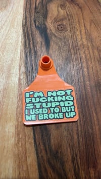 I'm not fucking stupid