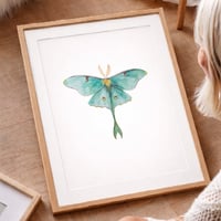 Image 7 of Luna Moth Watercolor Illustration PRINT 