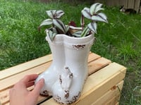 Image 5 of  Purple Tradescantia in White Boots with Bird