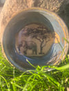 Elephant bowls