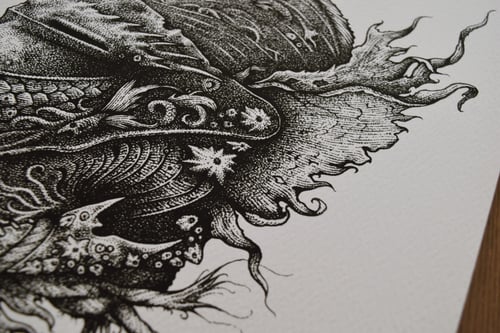 Image of Anchorite