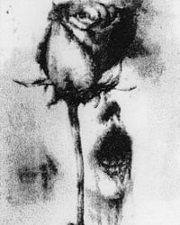 Rosebleed