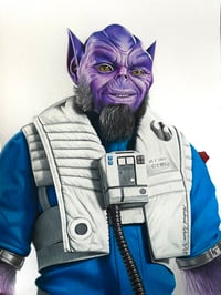 Image 1 of Zeb (Original)