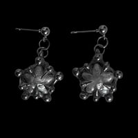 star earrings