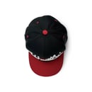 Image 5 of Worthy Script 5-Panel Snapback Hat