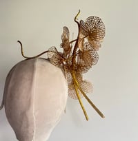 Image 3 of Gold orchids #2