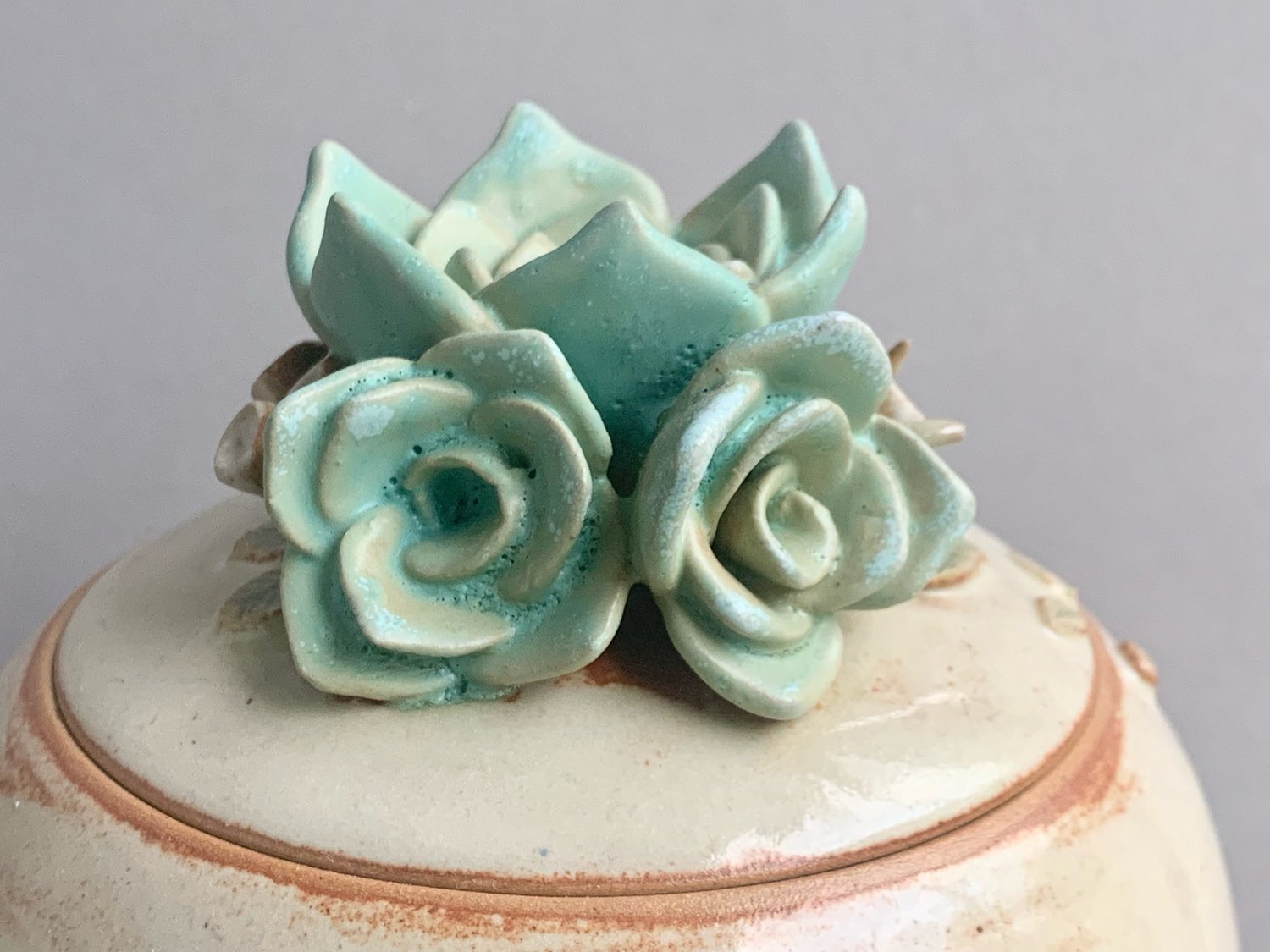 Image of Succulent Pot 