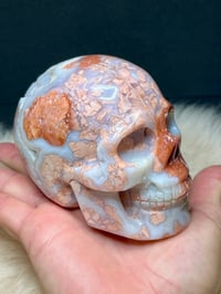 Image 15 of Druzy Pink Petal Agate Skull Carving #2240