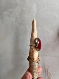 Image 2 of Rose hip ring 