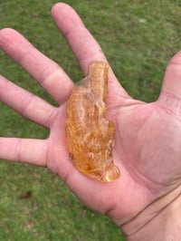 Image 11 of Amber Specimen #1464