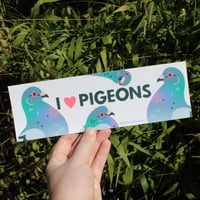 Image 1 of I Love Pigeons Bumper Sticker