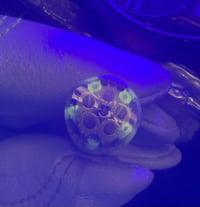 Image 3 of Yellow and transparent black stripes UV 