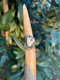 Image 2 of Sterling Silver & White Buffalo Adjustable Ring