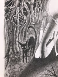 Image 2 of “The Hermit”