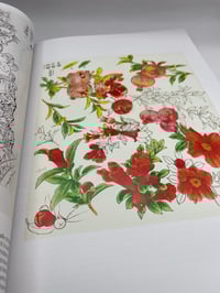 Image 3 of HORITOMO SHITAESHŪ By Kazuaki Kitamura