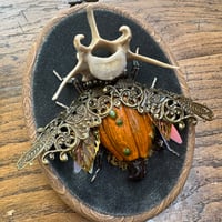Image 1 of Vertebrae pumpkin beetle (b,  4x5 inches)