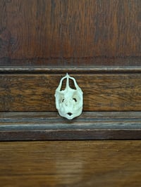 Image 2 of small panther chameleon (MBD)