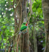Image 3 of San Pedrito Necklace | Puerto Rican Tody 