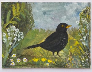 Image of blackbird in a wild summer garden - small painting 