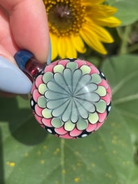 Image 4 of ruby mints  