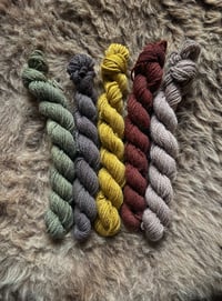 Image 2 of Mini Bundle #1 - 100G Hand Dyed Kent Romney Mini Skeins 