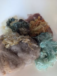 Image 4 of Fungi Medley - Mushroom inspired Colorway Fiber Kit For Blending, Carding, Felting, Fiber Arts
