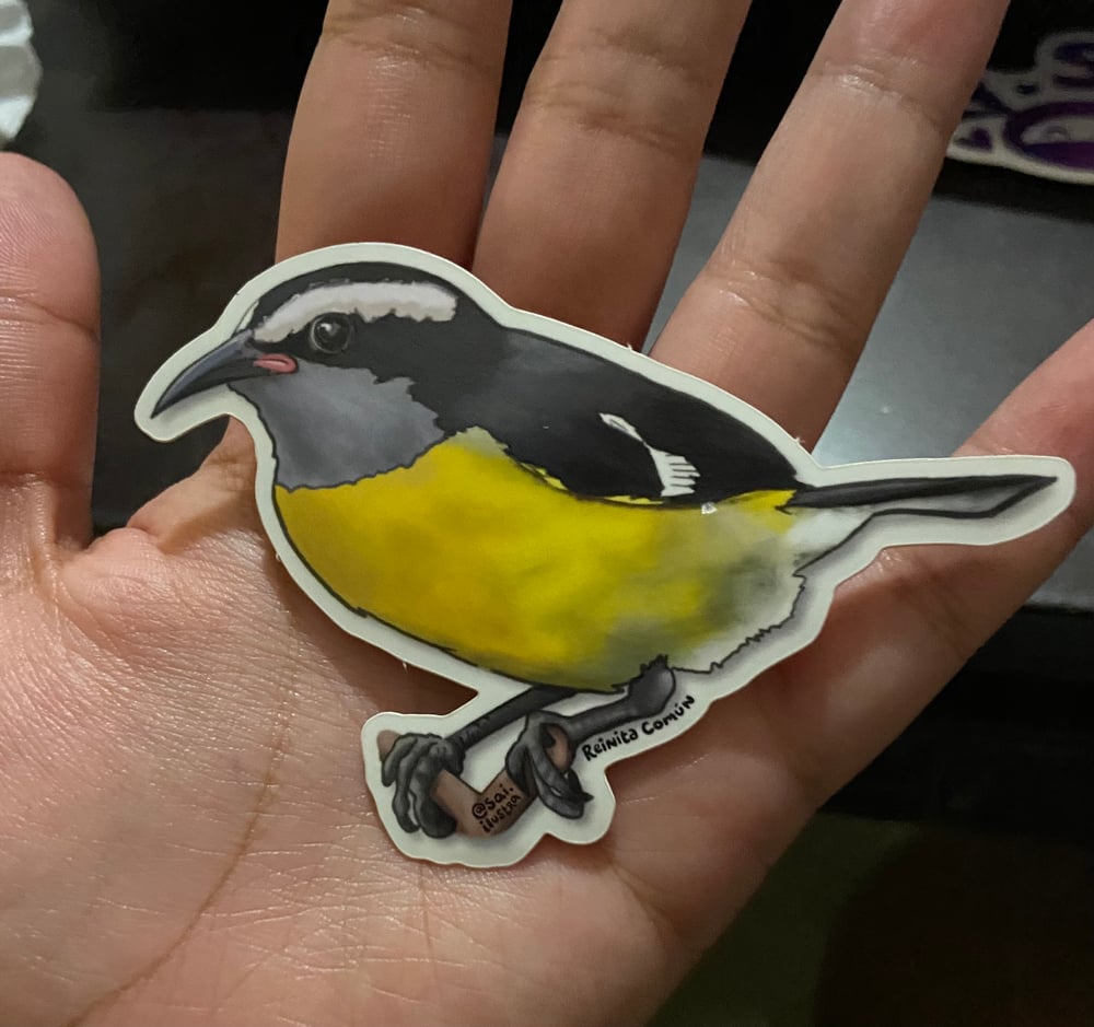 Bananaquit Sticker