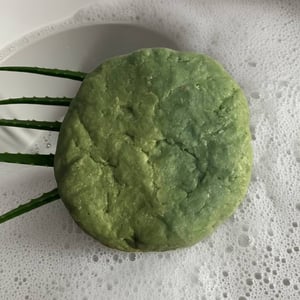 Image of Fresh Aloe Vera