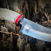Image 5 of Skinner