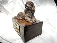 Image 9 of Custom Engraved White Poodle Urn Wings Angel Pet Portrait Cremation Ashes