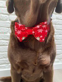 Image 9 of Christmas Stardust Sailor Bow / Bow Tie