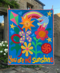 Image 1 of Sunshine commission 