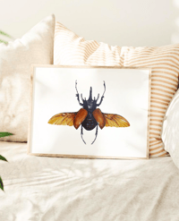 Image 10 of Five Horned Rhino Beetle Watercolor Illustration PRINT 