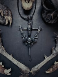 Image 1 of Silvera 